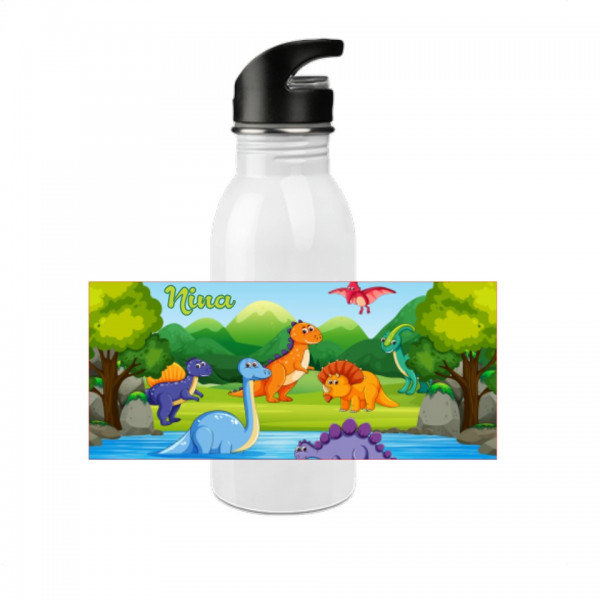 Trinkflasche Dino 2